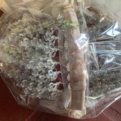 MEGA OFERTON. Pack de 100 alfileres con cesta, encaje  y envoltorio.