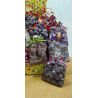 Pashimina en bolsa celofancon pasador mariposa surtido