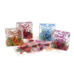 Cajas acetato estampada para regalos