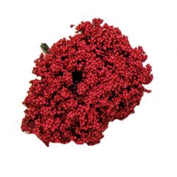 POM 12 UD-FLORES PQE- ROJO