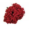 POM 12 UD-FLORES PQE- ROJO