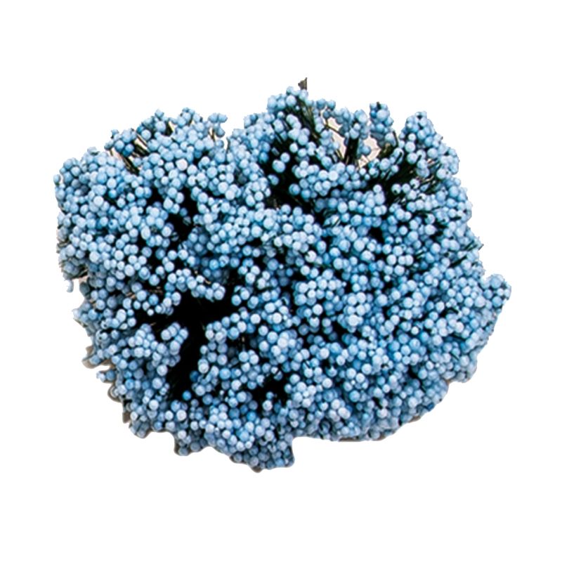 POM 12 UD-FLORECILLA PQE- AZUL